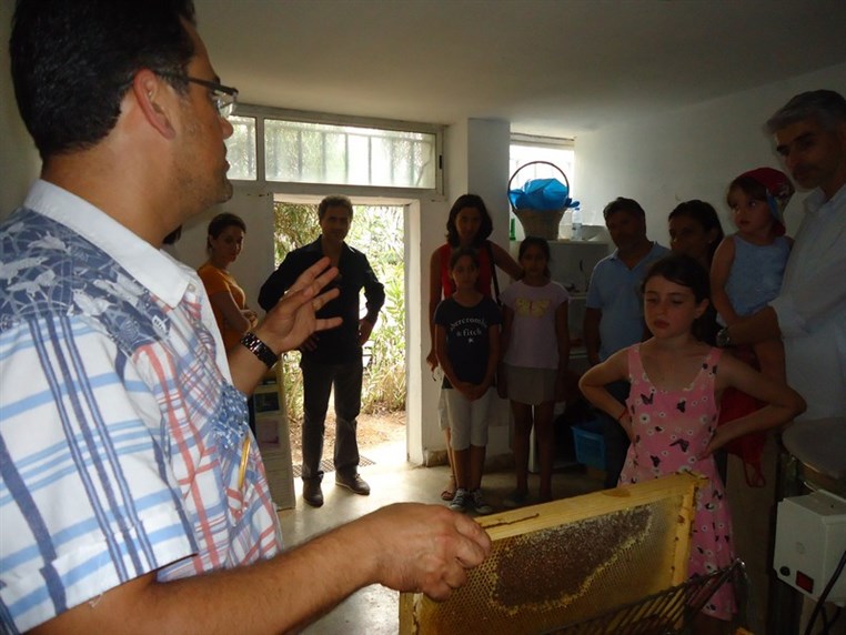 9th Annual Honey Harvest Event 